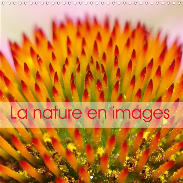 Emprunter La nature en images (Calendrier mural 2020 300 × 300 mm Square). La nature au fil des saisons, en ph livre
