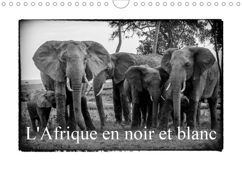Emprunter L' AFRIQUE EN NOIR ET BLANC (CALENDRIER MURAL 2020 DIN A4 HORIZONTAL) - VISION INHABITUELLE DU MASAI livre