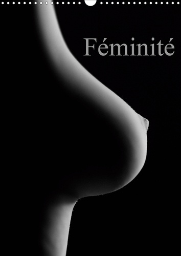 Emprunter Féminité (Calendrier mural 2020 DIN A3 vertical). Prises érotiques du corps féminin. (Calendrier men livre