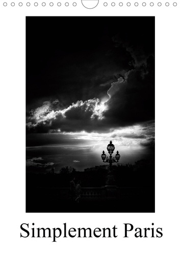 Emprunter SIMPLEMENT PARIS (CALENDRIER MURAL 2020 DIN A4 VERTICAL) - PARIS UNE VILLE A MULTIPLES FACETTES (CAL livre