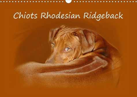 Emprunter CHIOTS RHODESIAN RIDGEBACK (CALENDRIER MURAL 2020 DIN A3 HORIZONTAL) - PHOTOGRAPHIES DE CHIOTS DE RH livre