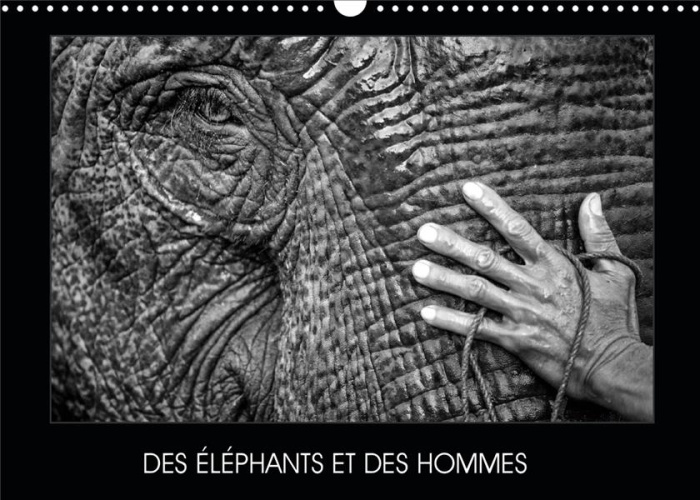 Emprunter DES ELEPHANTS ET DES HOMMES (CALENDRIER MURAL 2020 DIN A3 HORIZONTAL) - LA RELATION ENTRE LES ELEPHA livre