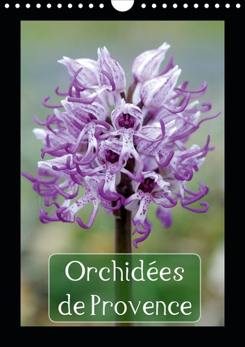 Emprunter ORCHIDEES DE PROVENCE (CALENDRIER MURAL 2020 DIN A4 VERTICAL) - ORCHIDEES RENCONTREES DANS LES ALPIL livre