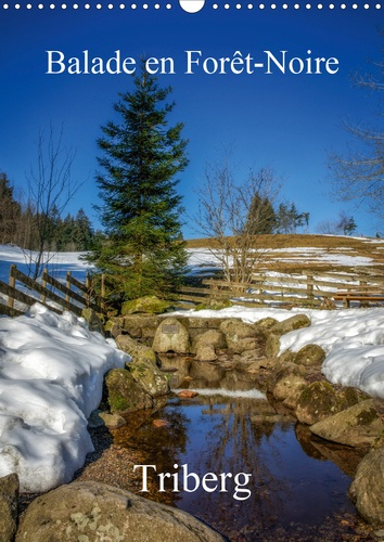 Emprunter BALADE EN FORET-NOIRE TRIBERG (CALENDRIER MURAL 2020 DIN A3 VERTICAL) - DECOUVERTE DE LA FORET-NOIRE livre