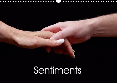 Emprunter SENTIMENTS (CALENDRIER MURAL 2020 DIN A3 HORIZONTAL) - SERIE D'IMAGES DE MAINS RELATANT LE CONCEPT D livre