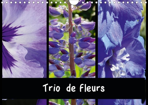 Emprunter TRIO DE FLEURS (CALENDRIER MURAL 2020 DIN A4 HORIZONTAL) - LA VARIETE DES FLEURS DE COULEUR RESSEMBL livre