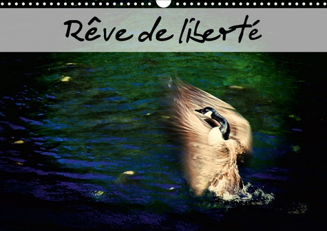 Emprunter REVE DE LIBERTE (CALENDRIER MURAL 2020 DIN A3 HORIZONTAL) - ENVOLONS-NOUS VERS NOS REVES AVEC NOS AM livre