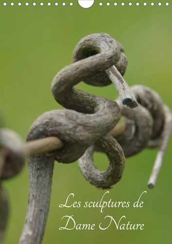 Emprunter Les sculptures de Dame nature (Calendrier mural 2020 DIN A4 vertical). Toutes les beautée de la natu livre