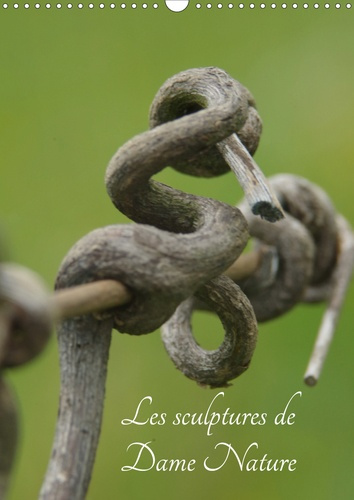 Emprunter Les sculptures de Dame nature (Calendrier mural 2020 DIN A3 vertical). Toutes les beautée de la natu livre