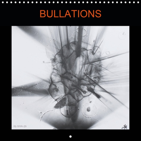 Emprunter Bullations (Calendrier mural 2020 300 × 300 mm Square). La lumière dans tout ses états (Calendrier m livre