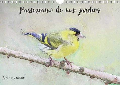 Emprunter Passereaux de nos régions (Calendrier mural 2020 DIN A4 horizontal). Série de 12 tableaux originaux livre
