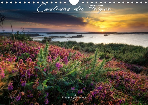 Emprunter COULEURS DU TREGOR (CALENDRIER MURAL 2020 DIN A4 HORIZONTAL) - SELECTION PHOTOS DE 2017 (CALENDRIER livre
