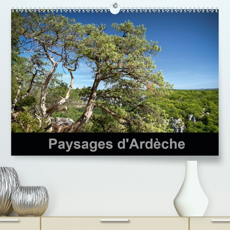 Emprunter PAYSAGES D'ARDECHE(PREMIUM, HOCHWERTIGER DIN A2 WANDKALENDER 2020, KUNSTDRUCK IN HOCHGLANZ) - UN REG livre