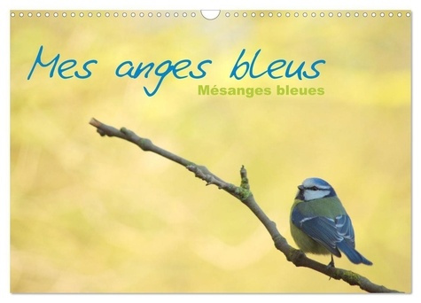Emprunter Mes anges bleus 