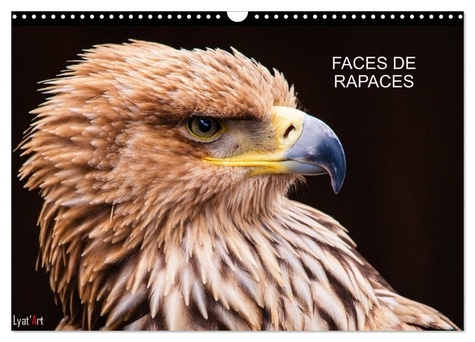 Emprunter FACES DE RAPACES (Calendrier mural 2025 DIN A3 vertical), CALVENDO calendrier mensuel. 12 mois avec livre