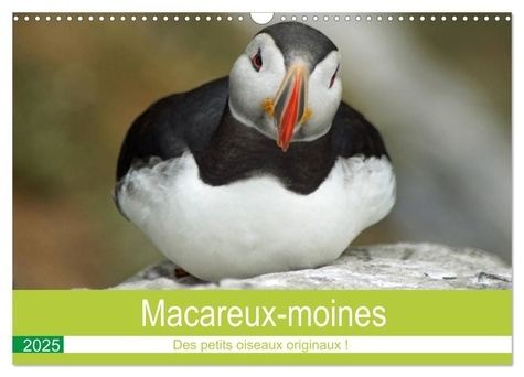 Emprunter Macareux-moines Des petits oiseaux originaux! (Calendrier mural 2025 DIN A3 vertical), CALVENDO cale livre