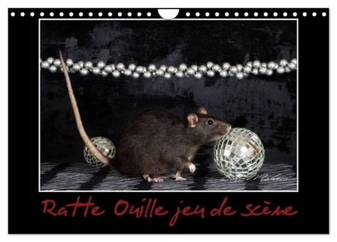 Emprunter Ratte Ouille jeu de scène (Calendrier mural 2025 DIN A4 vertical), CALVENDO calendrier mensuel. Peti livre