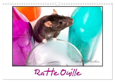 Emprunter Ratte Ouille (Calendrier mural 2025 DIN A3 vertical), CALVENDO calendrier mensuel. Gentille muridée livre