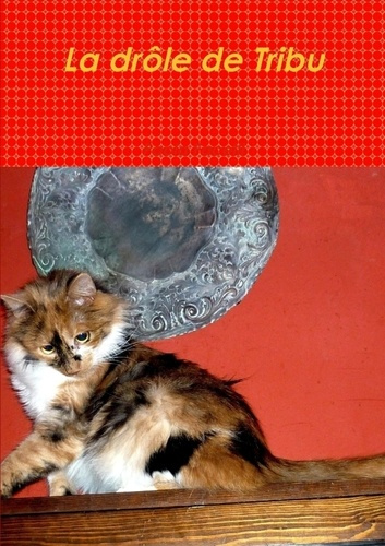 Emprunter La drôle de Tribu livre