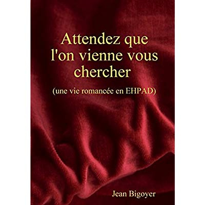Emprunter Attendez que l'on vienne vous chercher ! livre
