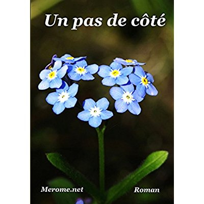 Emprunter UN PAS DE COTE livre