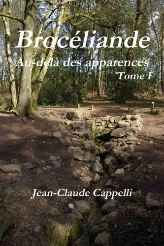 Emprunter Brocéliande Au-delà des apparences livre