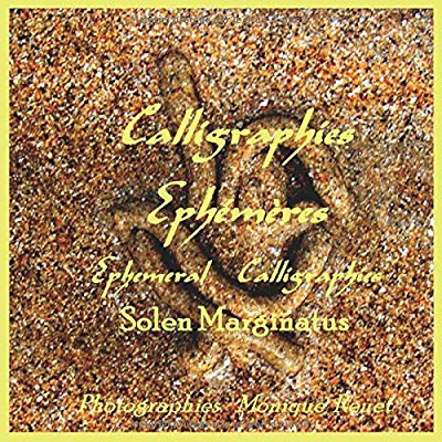 Emprunter Calligraphies éphémères livre