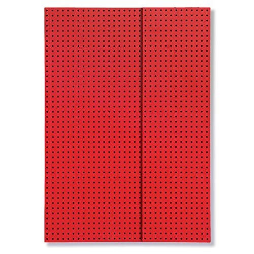 Emprunter Carnet Circulo Rouge sur Noir A4 Ligné livre