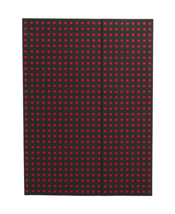 Emprunter Carnet Quadro Noir sur Rouge A4 Ligné livre