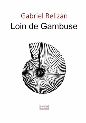 Emprunter Loin de Gambuse livre