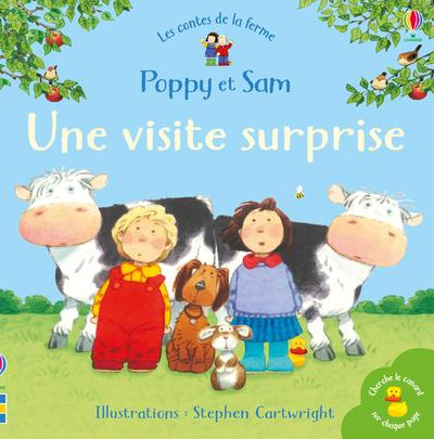 Emprunter Une visite surprise livre