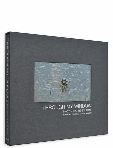 Emprunter THROUGH MY WINDOW livre