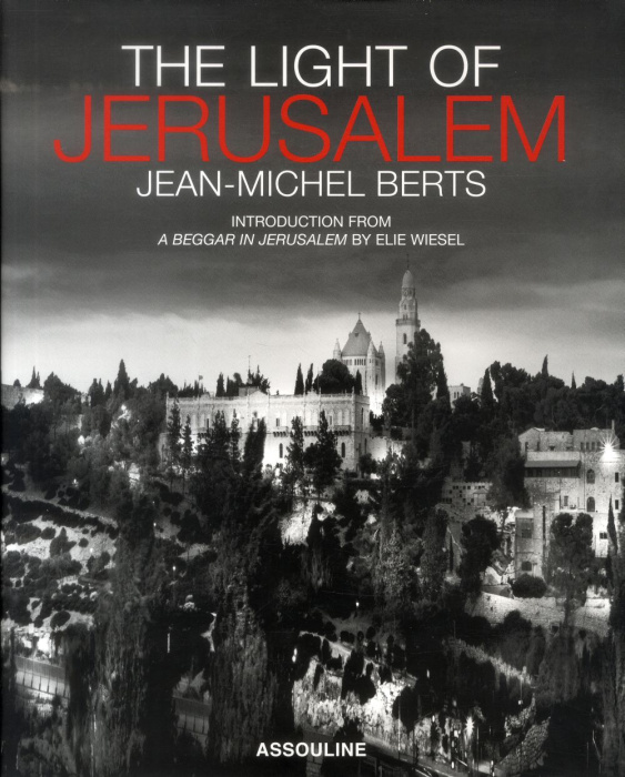 Emprunter THE LIGHT OF JERUSALEM ( TITRE EN ANGLAIS) livre