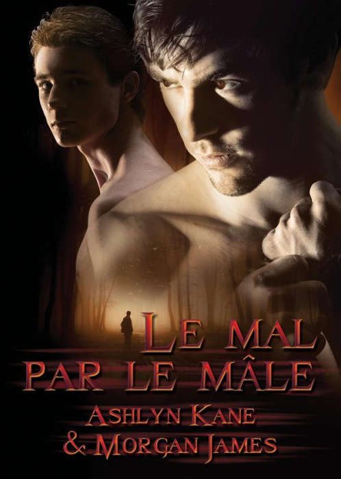 Emprunter LE MAL PAR LE MALE livre