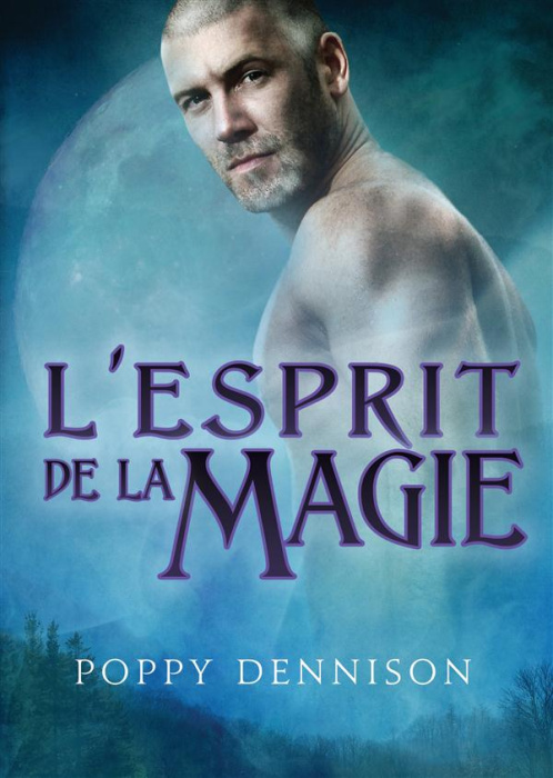 Emprunter L ESPRIT DE LA MAGIE livre