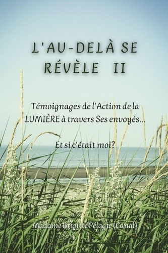 Emprunter L'AU-DELÀ SE RÉVÈLE II (couverture souple). Témoignages de l'Action de la LUMIÈRE sur Terre à trave livre