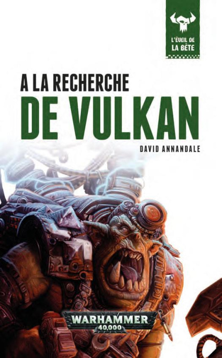 Emprunter L'éveil de la bête Tome 7 : A la recherche de Vulkan livre
