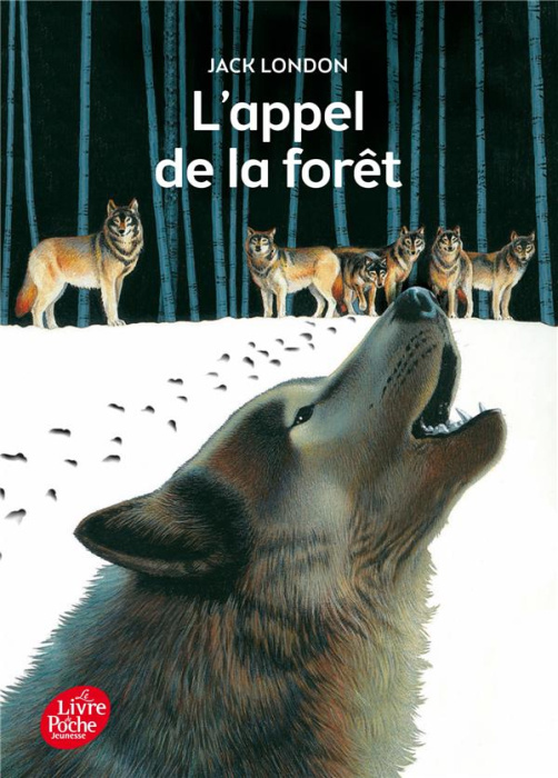 Emprunter L'appel de la forêt livre