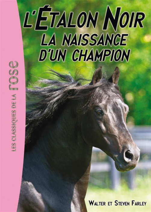 Emprunter L'Etalon Noir Tome 19 : La naissance d'un champion livre