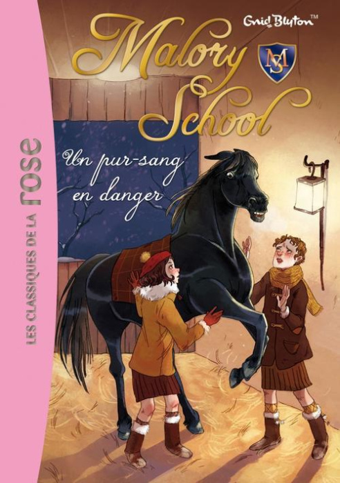 Emprunter Malory School Tome 3 : Un pur-sang en danger livre