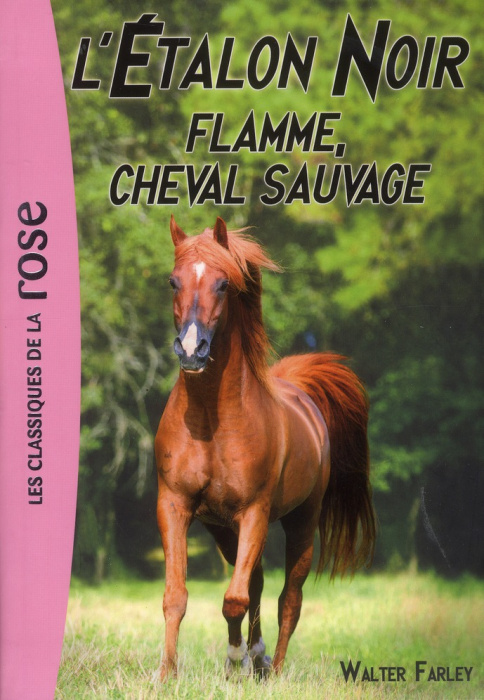 Emprunter L'Etalon Noir Tome 10 : Flamme, cheval sauvage livre