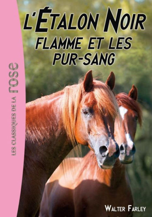 Emprunter L'Etalon Noir Tome 11 : Flamme et les pur-sang livre