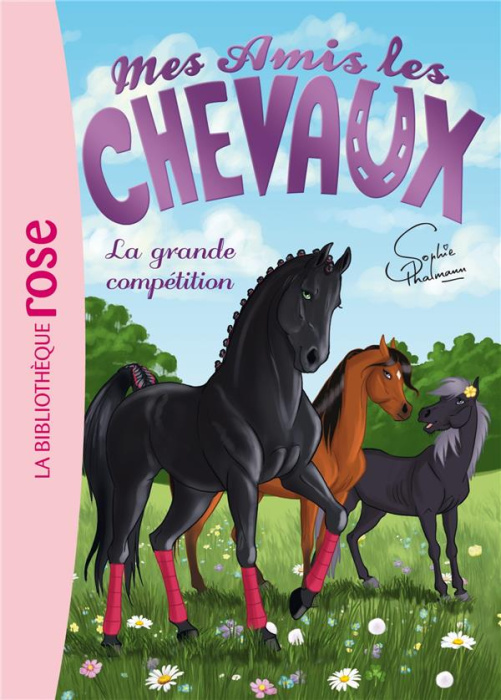 Emprunter Mes amis les chevaux Tome 2 : La grande compétition livre