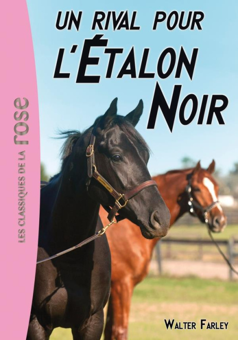 Emprunter L'Etalon Noir Tome 14 : Un rival pour l'Etalon noir livre