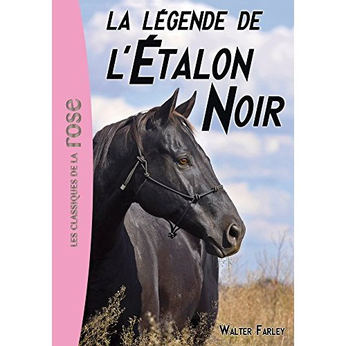 Emprunter L'Etalon Noir Tome 15 : La légende de l'étalon noir livre