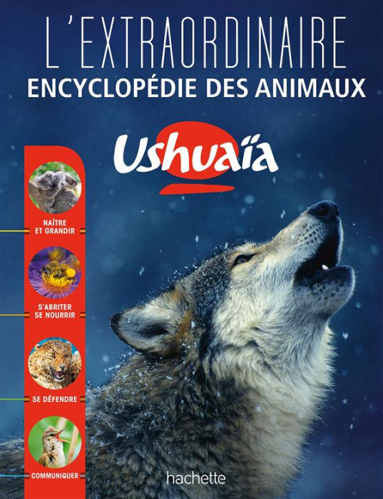 Emprunter L'Extraordinaire encyclopédie des animaux Ushuaïa livre