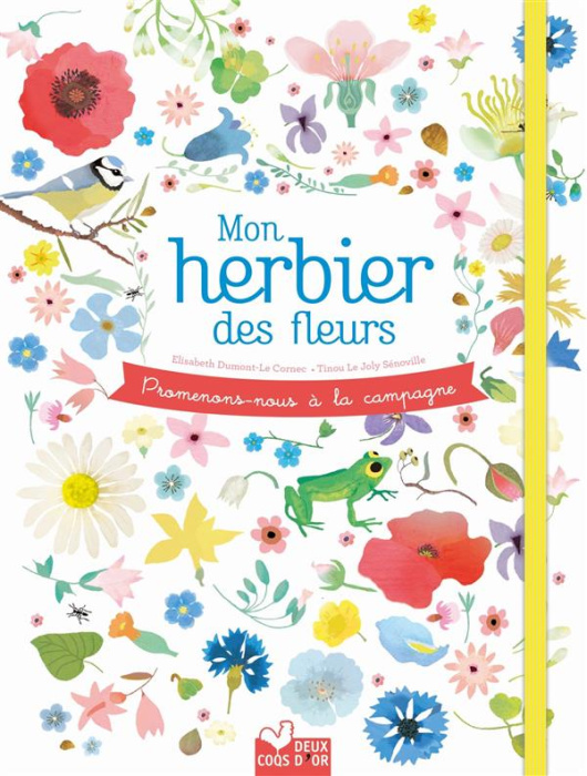 Emprunter Mon herbier de fleurs. Promenons-nous à la campagne livre