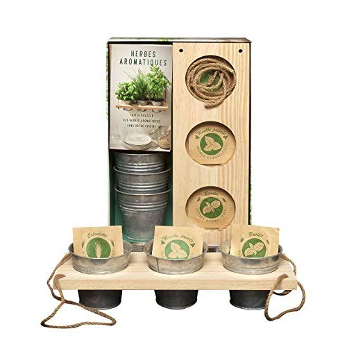 Emprunter Coffret herbes aromatiques. Faites pousser des herbes aromatiques dans votre cuisine livre