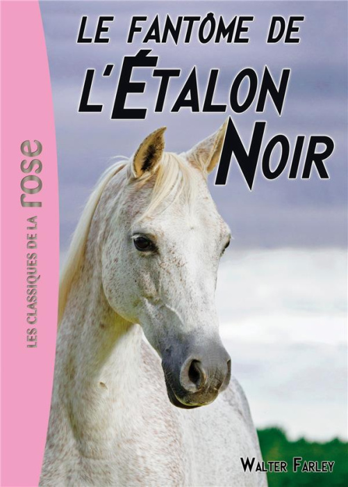 Emprunter L'Etalon Noir Tome 16 : Le fantôme de l'étalon noir livre