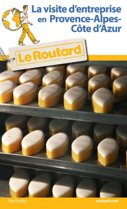 Emprunter La visite d'entreprise en Provence-Alpes-Côte d'Azur livre